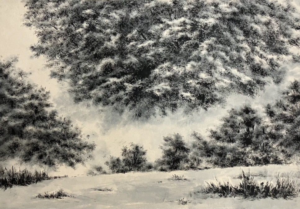 회고林 · 한지에 먹 · 50×72cm · 2022 · 김세진 · (이미지출처 = 갤러리 봄)