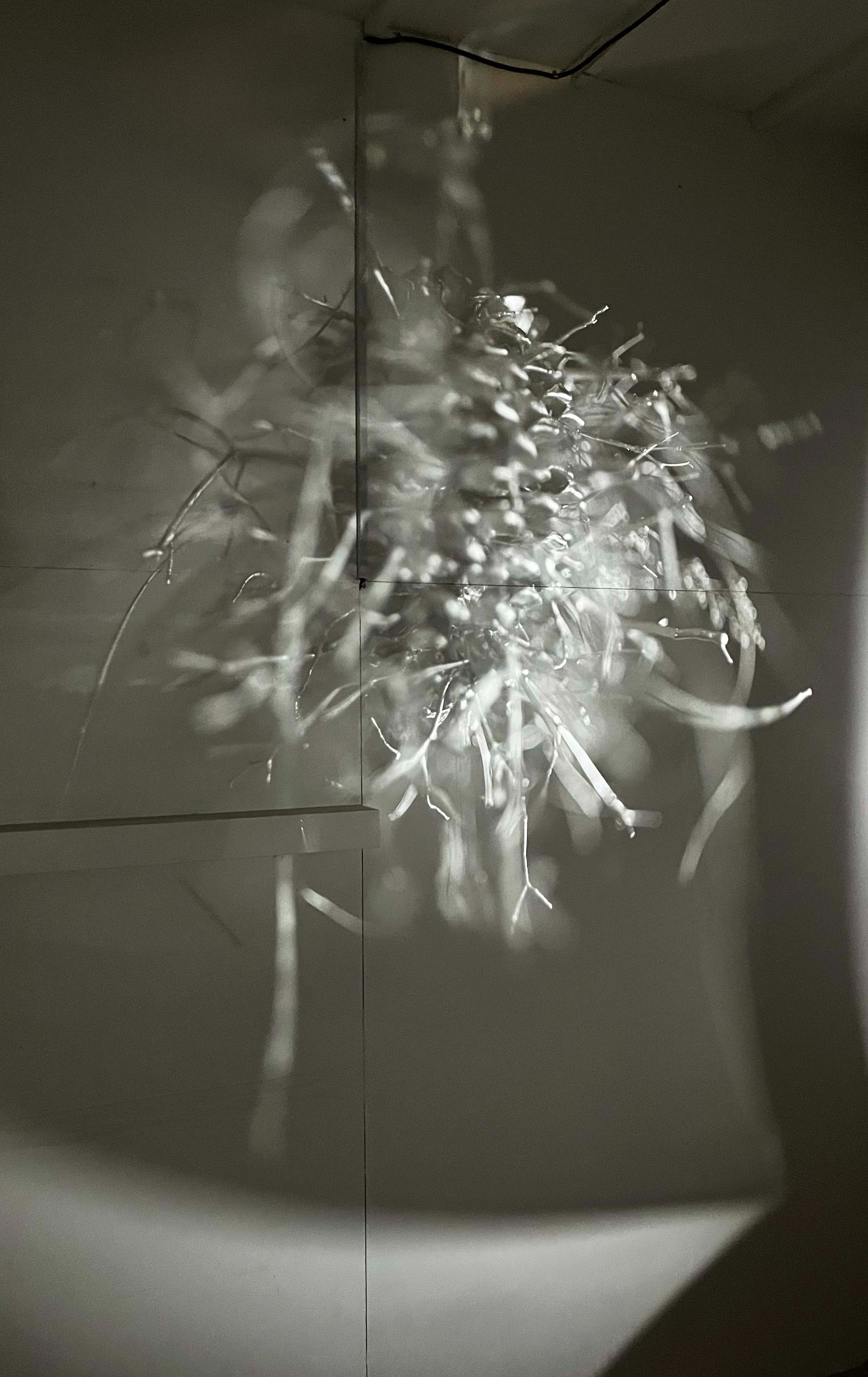전시전경 · Exhibition view
