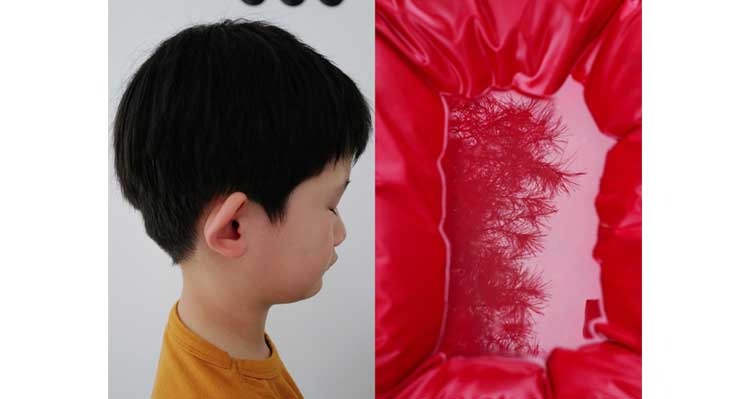 하시시박 · Hasisi Park's · (이미지출처 = 더레퍼런스) · (Source = THE- REFERENCE)