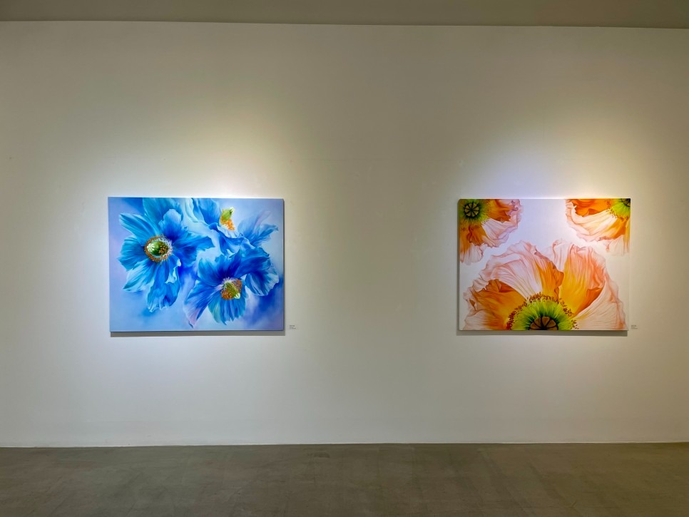 전시전경 · Exhibition view · (이미지출처 = 마루아트센터)