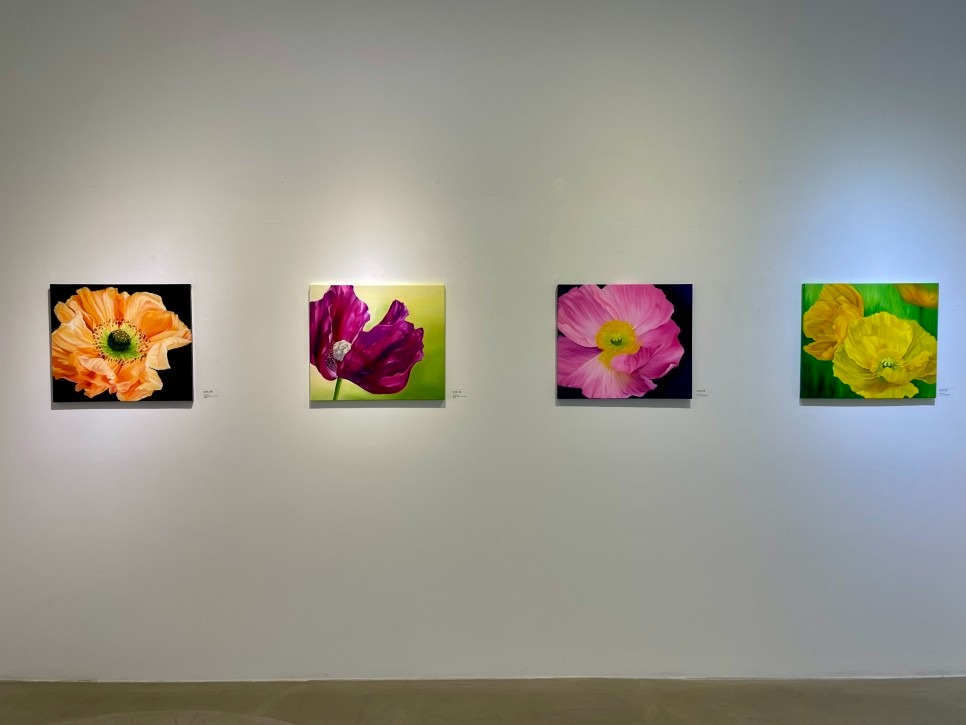 전시전경 · Exhibition view · (이미지출처 = 마루아트센터)