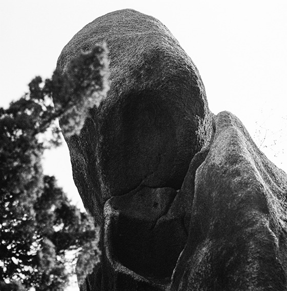 (이미지출처 = kp갤러리) · (Source = kpgallery)
