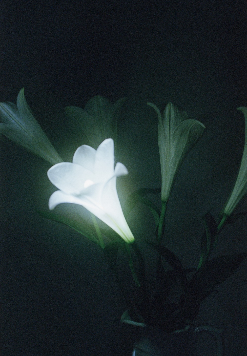 Night Watch · Pigment print on artistic rag silk 305g · 59.4 x 42 cm · 2021 · 주지훈 · (이미지제공 = 페이지룸8)