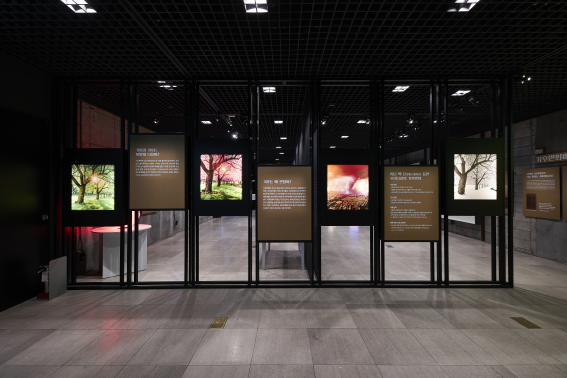 전시전경 · Exhibition view · (이미지출처= 실학박물관)