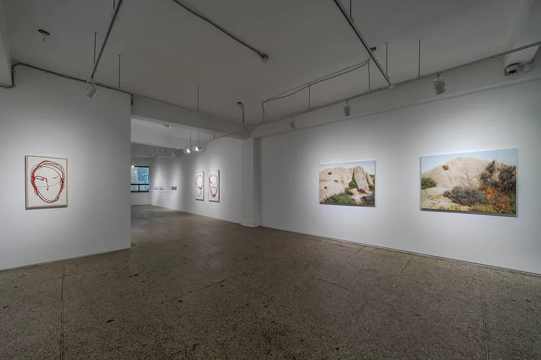 전시전경 · Exhibition view · (이미지출처 = 갤러리소소) · (source = gallerysoso)