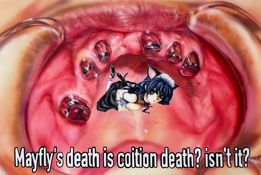 Mayfly's death is coition death. · 캔버스에 아크릴 · 90.9x60.5 cm · 2022 · 김사피 · (이미지출처 = 공간사일삼)