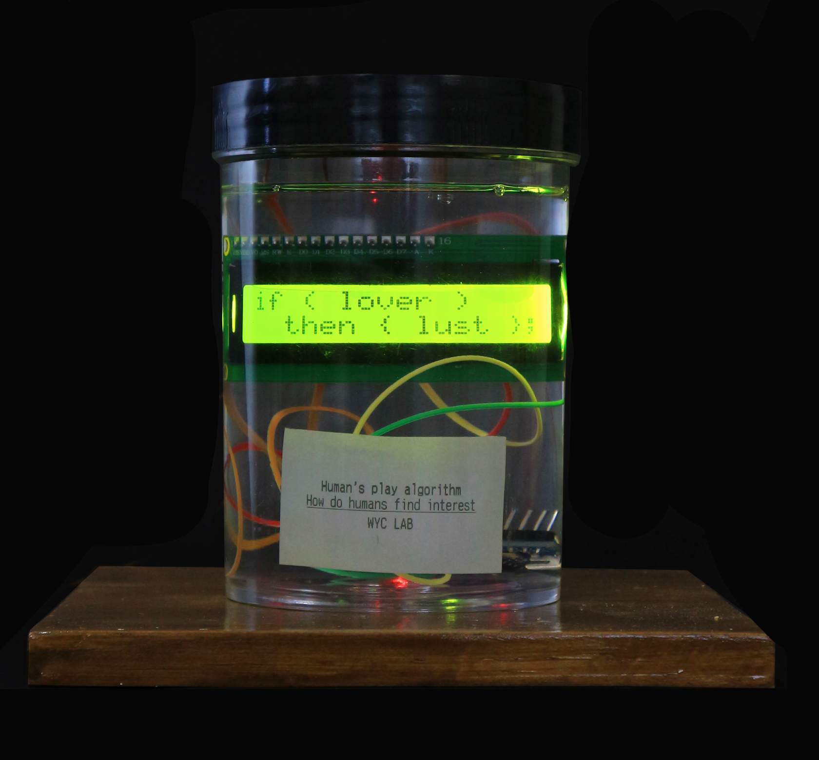 멸종한 생명체를 대하는 자세 : Human's play algorithm (#1~#2) · MCU board, Specimenjar, Wood, Customized Software and Hardware · 13 x 18 x 15cm · 2022 · Human's play algorithm (#1~#2) · MCU board, Specimenjar, Wood, Customized Software and Hardware · 원예찬 · Won Yechan · (이미지 출처 = 아트랩 범어) · (Source = Artlab Beomeo)