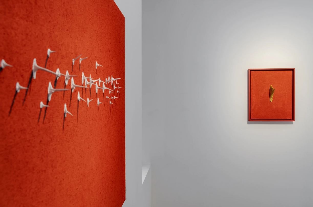 전시전경 · Exhibition view · (이미지 출처 = 갤러리 바톤) · (Source = Gallery Baton)