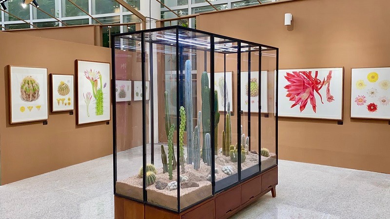 전시전경 · Exhibition view · (이미지 출처 = 국립세종수목원) · (Source = Sejong National Arboretum)
