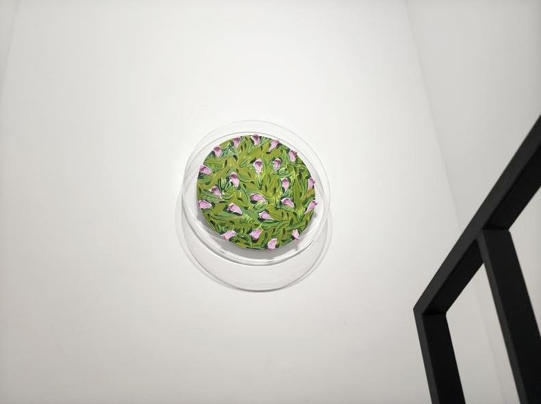 전시전경 · Exhibition view · (이미지 출처 = 이화익 갤러리) · (Source = Lee Hwaik Gallery)