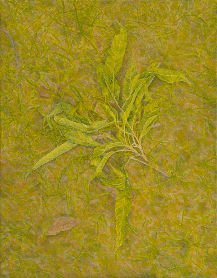 (이미지출처 = 신한갤러리) · (Source = Shinhan gallery)