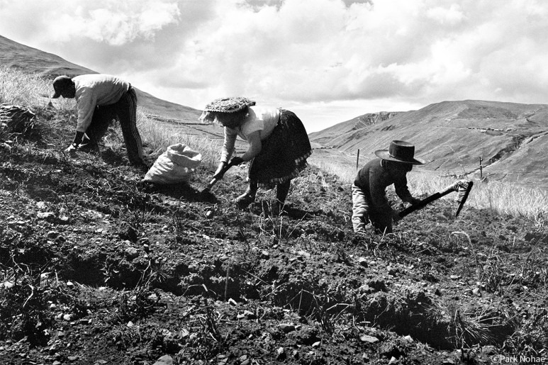 멋쟁이 어린 농부 · Patacancha, Cusco, Peru, 2010 · 박노해 · ParkNohae · ⓒParkNohae (이미지 제공 = 라 카페 갤러리) · ⓒParkNohae (Source = Ra Cafe Gallery)