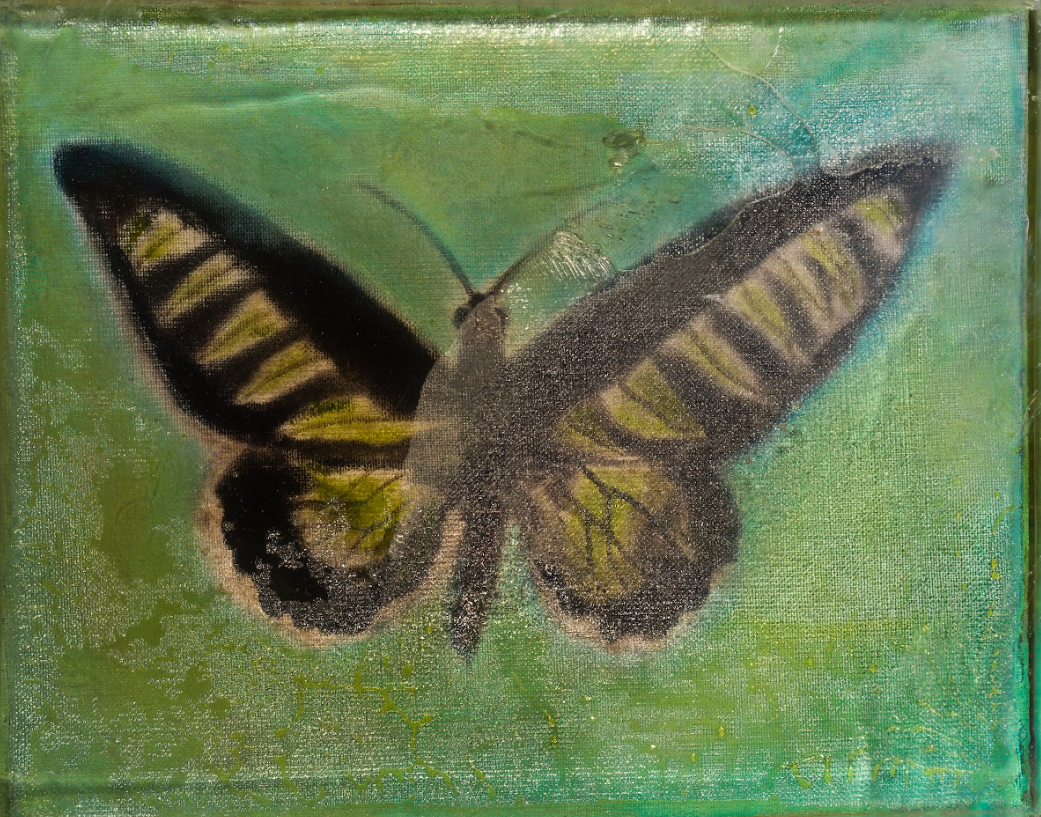 나비목 · 캔버스에 유채, 폴리에스테르 레진 · 24.5x30.5x6cm · 2022 · 클라라 베르니히 · Klara Virnich · (이미지제공 = 아트센터 화이트블럭) · (Source = Art Center White Block)