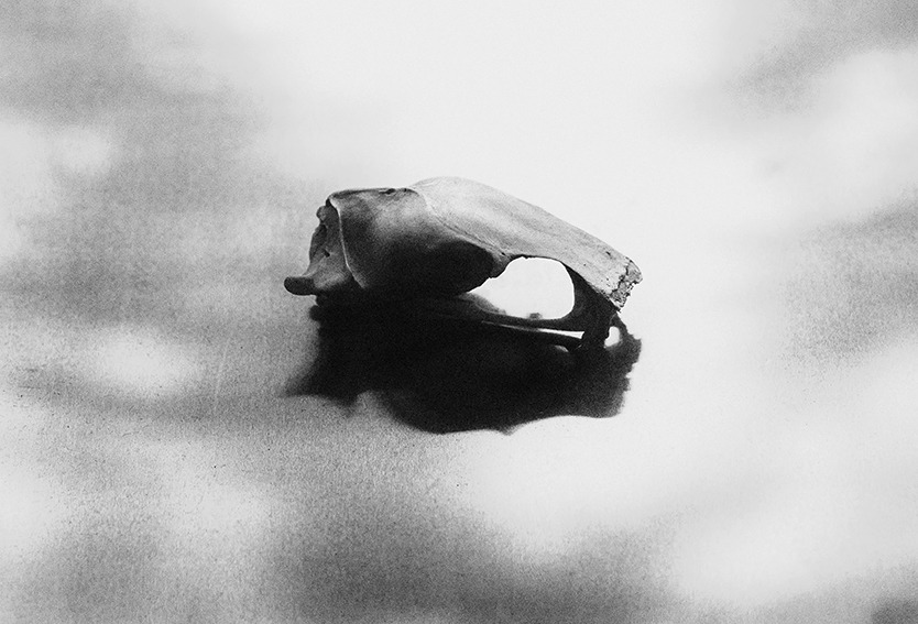 헨릭 스트롬버그 · Henrik Stromberg · (이미지 출처 = KP Gallery) · (Source = KP Gallery)