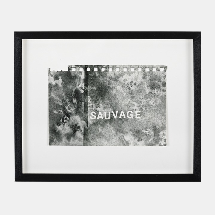 Sauvage · Acrylic on paper · 14 x 20.3cm · 2016 · Sauvage · Acrylic on paper · 베티 톰킨스 · Betty Tompkins · (이미지 출처 = 가나아트 나인원) · (Source = Gana Art Nineone)