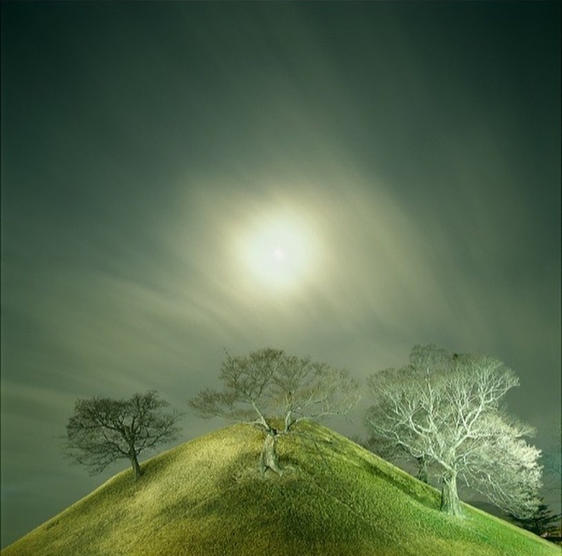 Cride of Being 3 · Pigment print · 70 x 70cm · 2008 · Pigment print · 이원철 · Lee Won Chul · (이미지 출처 = 무늬와 공간) · (Source = Moonii space)