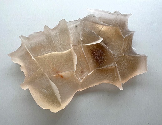 박지희 · Park Jeehee · (이미지 출처 = 더레퍼런스) · (Source = The  Reference)