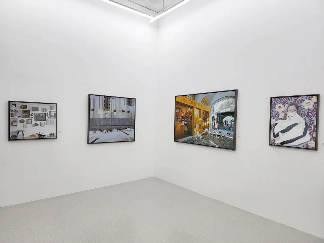 전시전경 · Exhibition view · (이미지 출처 = 서인갤러리) · (Source = Suhin Gallery)