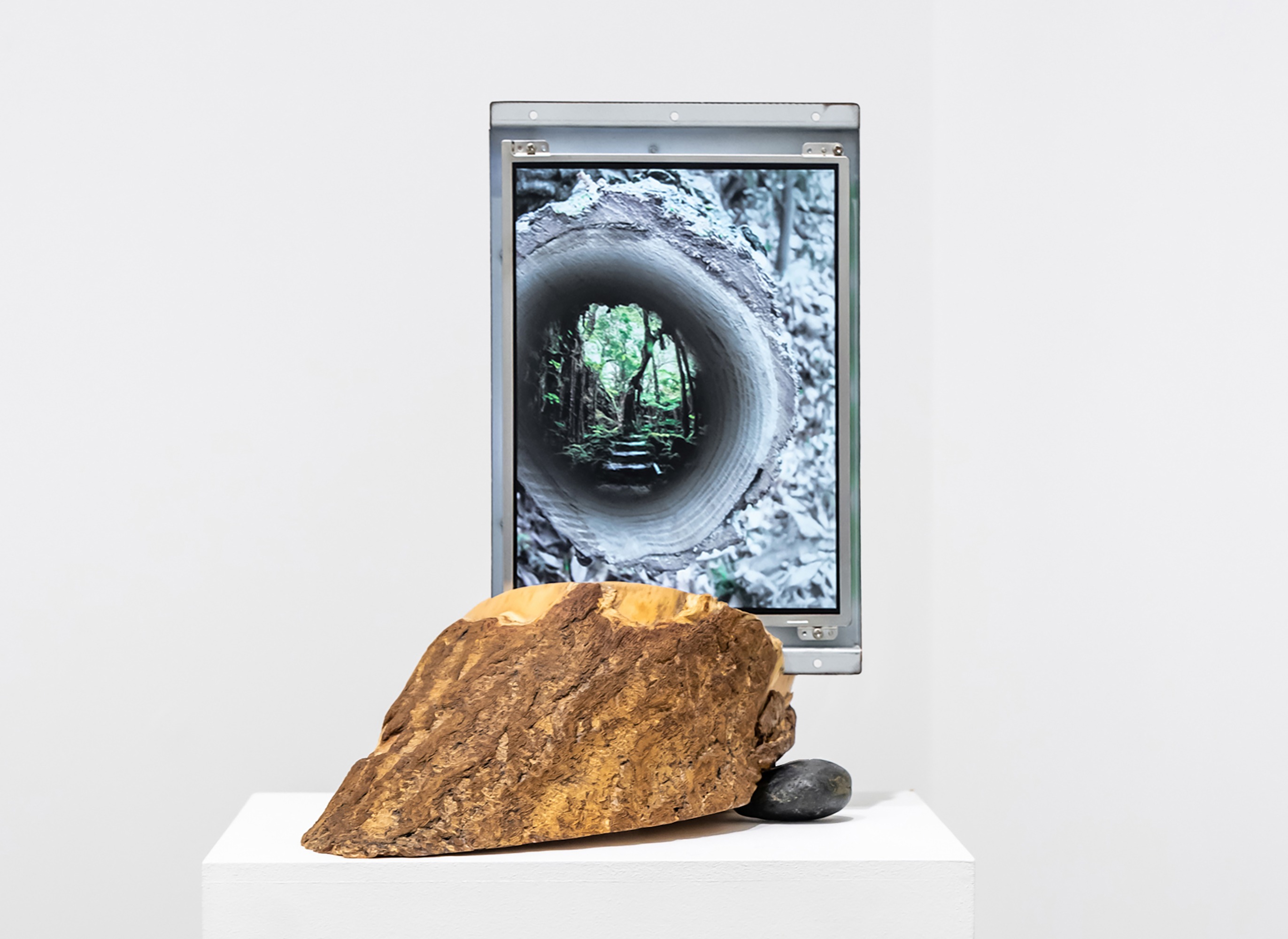 Forest in forest · sculpture with single-channel video on LED screen · 35x26x32cm, 00:02:46 loop · 2017 · Forest in forest · sculpture with single-channel video on LED screen · 금민정 · Geum Minjung · (이미지 제공 = 스페이스소) · (Source = space so)