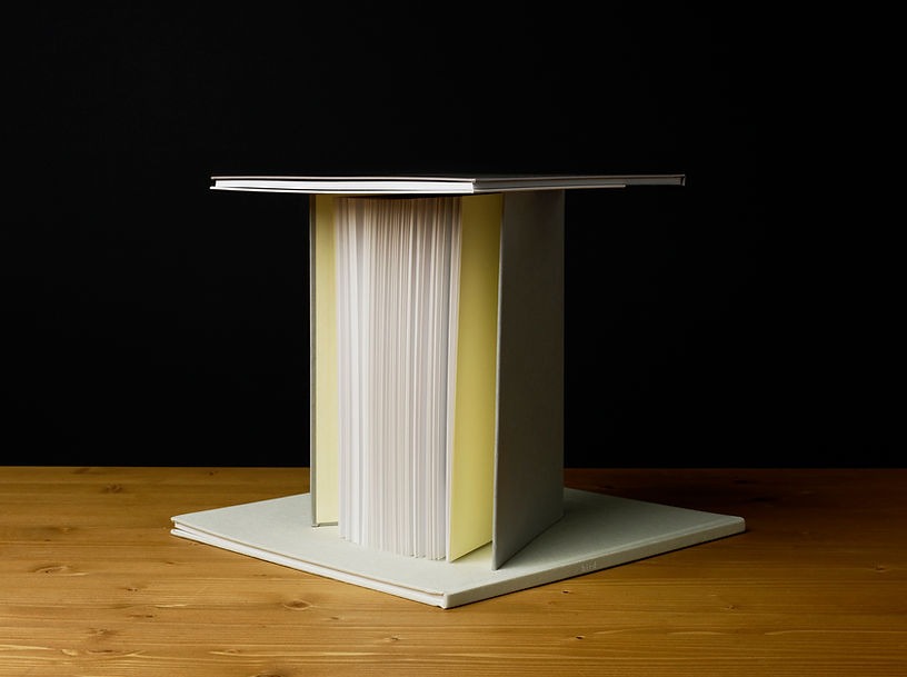 Bird · archival pigment print · 106 x 142 cm, Edition of 5 + 2AP · 2010 · Bird · archival pigment print · 정희승 · Heeseung Chung · (출처 : CROSS REEDING) · (Source : CROSS REEDING)