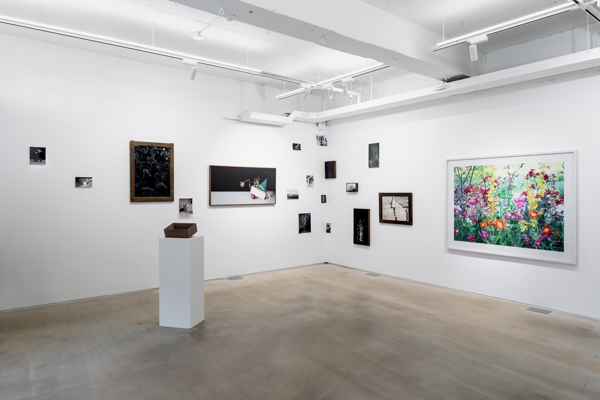 전시전경 · Exhibition view · (이미지 제공 = 스페이스소) · (Source = space so)