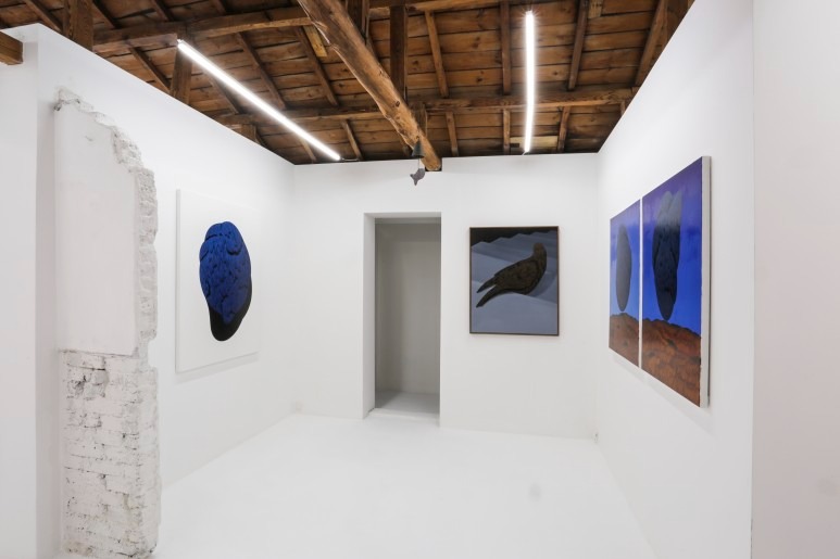 전시전경 · Exhibition view · (이미지 출처 = 최원진 작가) · (Source = Choi Won Jin)