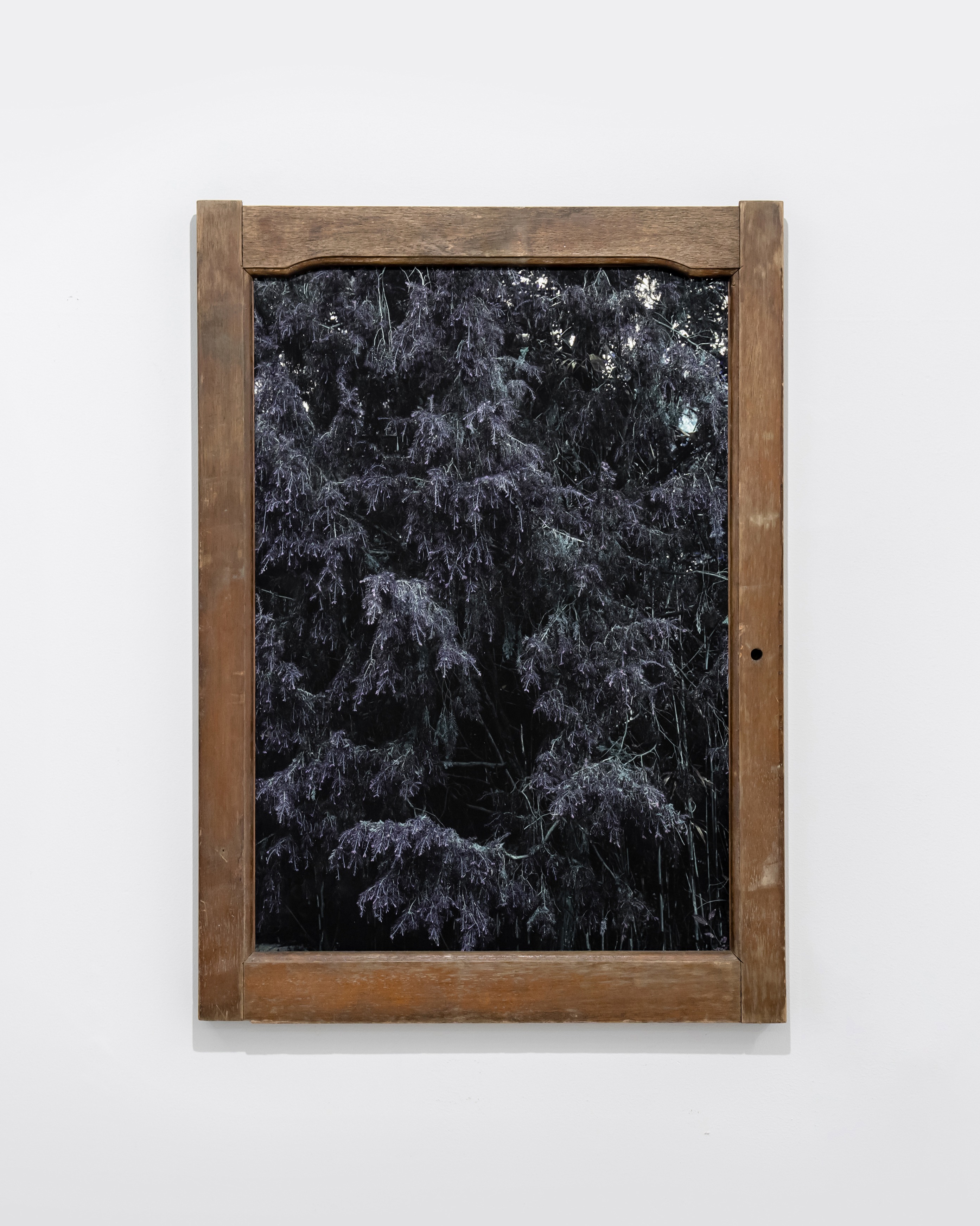 경주 · archival pigment print · 70x50cm · 2021 · Gyeongju · archival pigment print · 조성연 · Jo Seongyeon · (이미지 제공 = 스페이스소) · (Source = space so)
