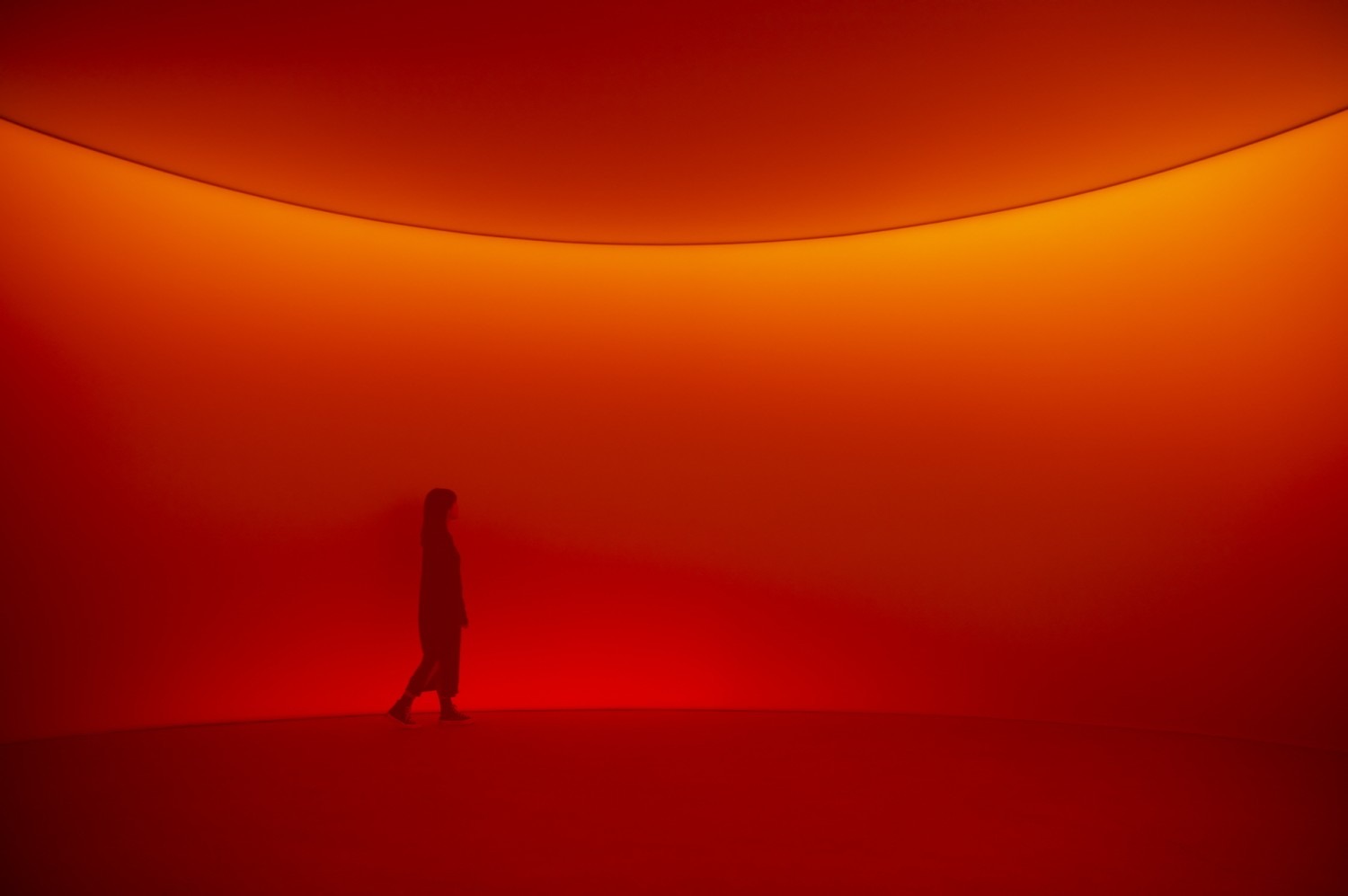 전시전경 · Exhibition view · (이미지 출처 = 이함캠퍼스) · (Source = E-HAM CAMPUS)