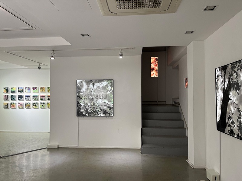 전시전경 · Exhibition view · (이미지 출처 = 갤러리초이) · (Source = GALLERY CHOI)