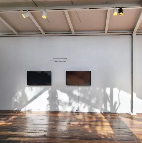 전시전경 · Exhibition view · (이미지 출처 = 호랑가시나무 아트폴리곤) · (Source = Horanggasynamu Art Polygon)
