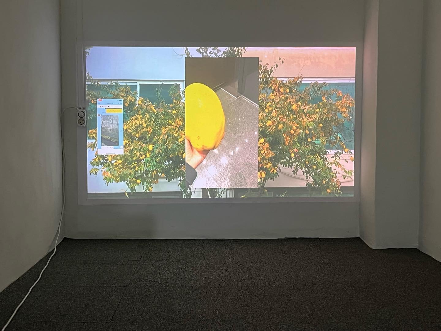 전시전경 · Exhibition view · (이미지 출처 = 00의00) · (Source = 00 of 00)