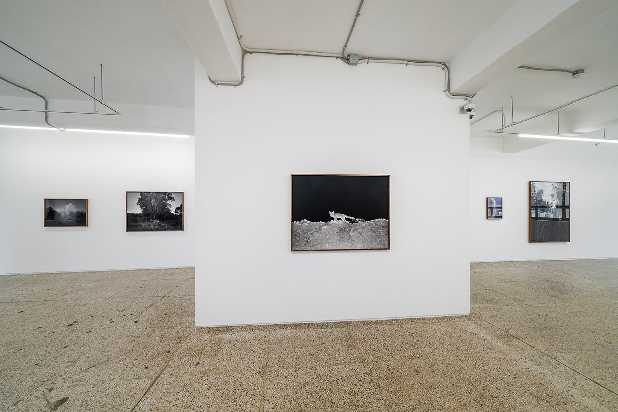 전시전경 · Exhibition view · (이미지 출처 = 갤러리소소) · (source = gallery soso)