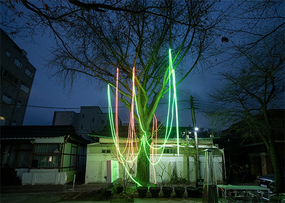 전시전경 · Exhibition view · (이미지 출처 = 갤러리신라) · (Source = Gallery Shilla)