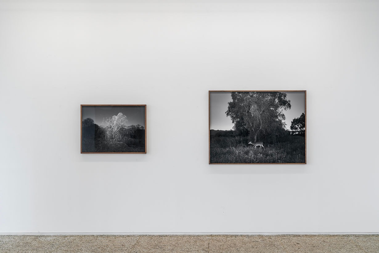 전시전경 · Exhibition view · (이미지 출처 = 갤러리소소) · (source = gallery soso)