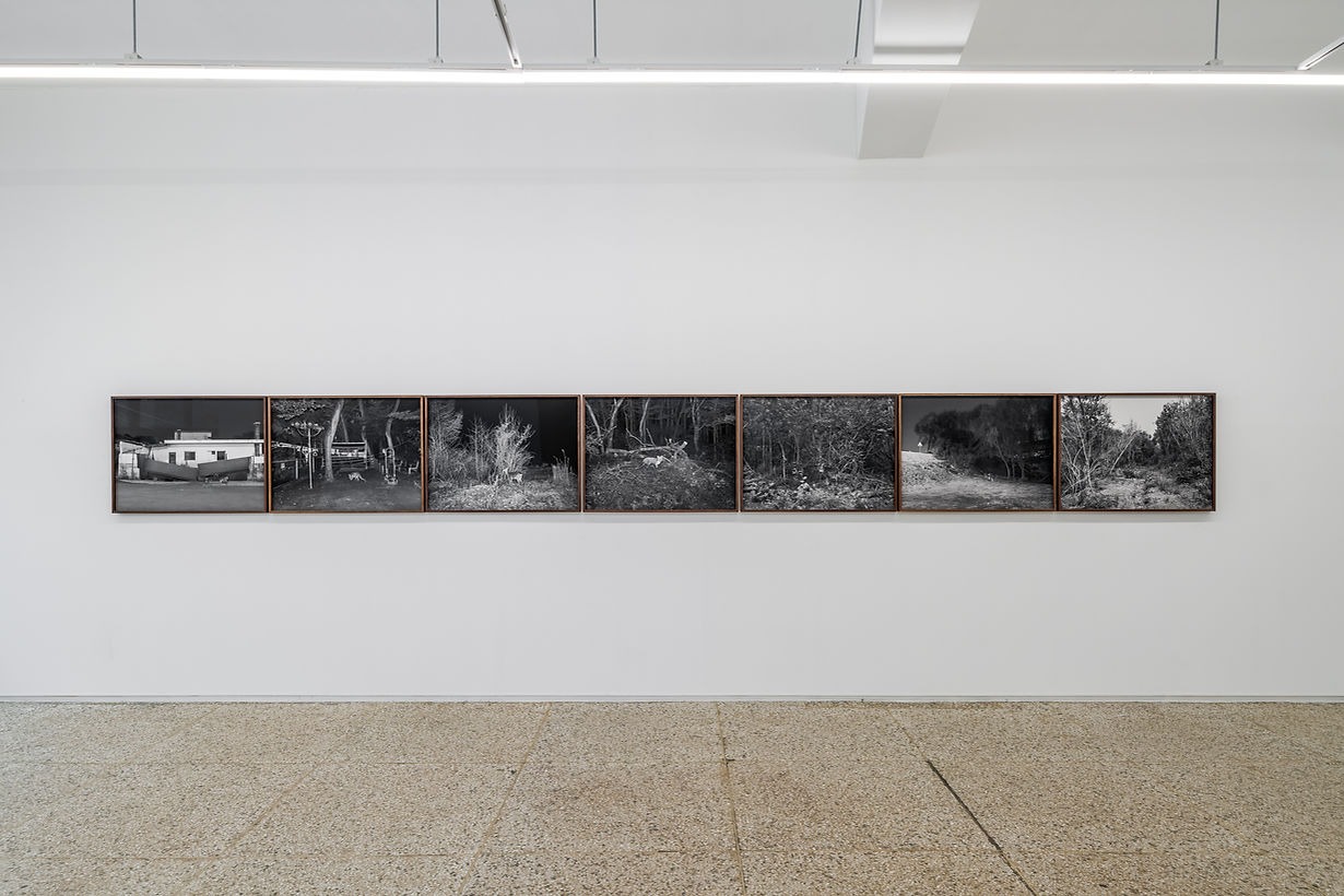 전시전경 · Exhibition view · (이미지 출처 = 갤러리소소) · (source = gallery soso)