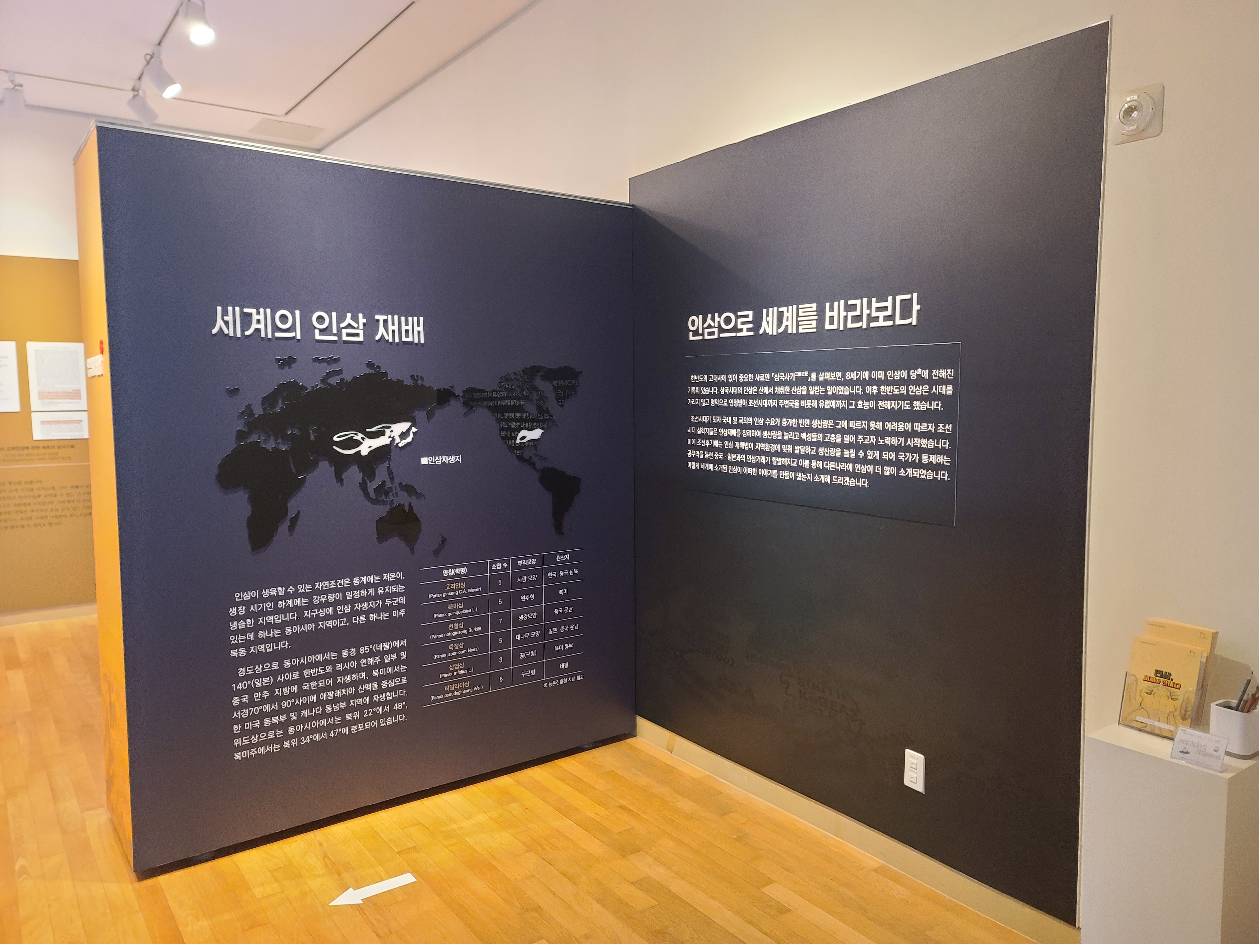 전시전경 · Exhibition view · (이미지 출처 = 영주인삼박물관) · (Source = YeongJu Insam Museum)