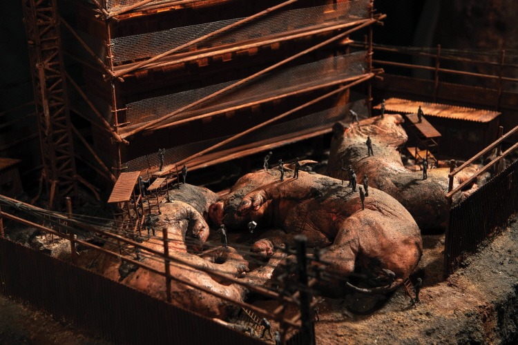 (이미지 출처 = 공주문화재단) · (Source = Gongju Foundation For Arts & Culture)