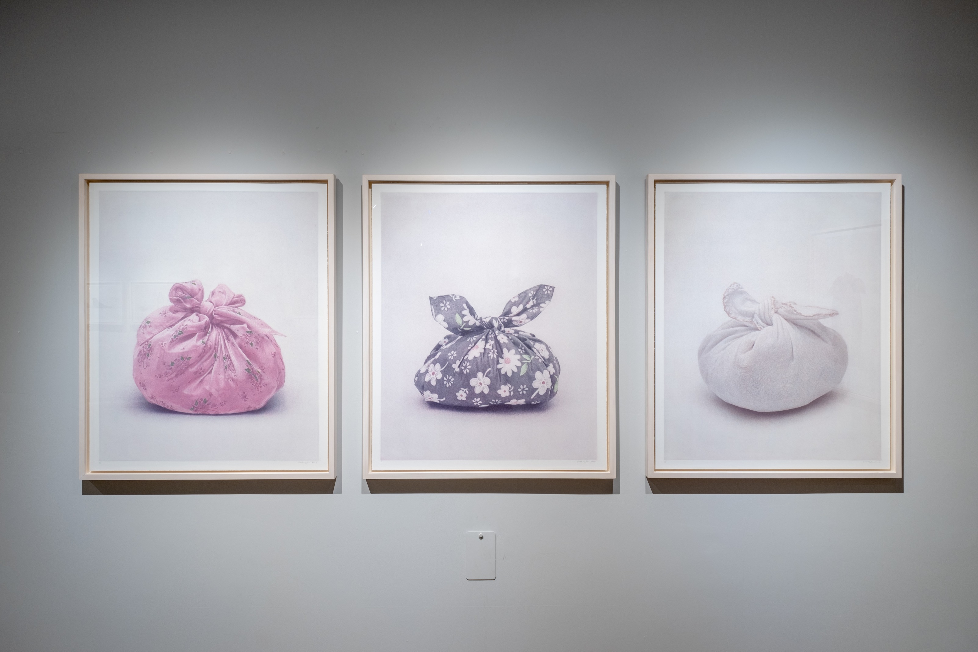 전시전경 · Exhibition view · (제공=후지필름)