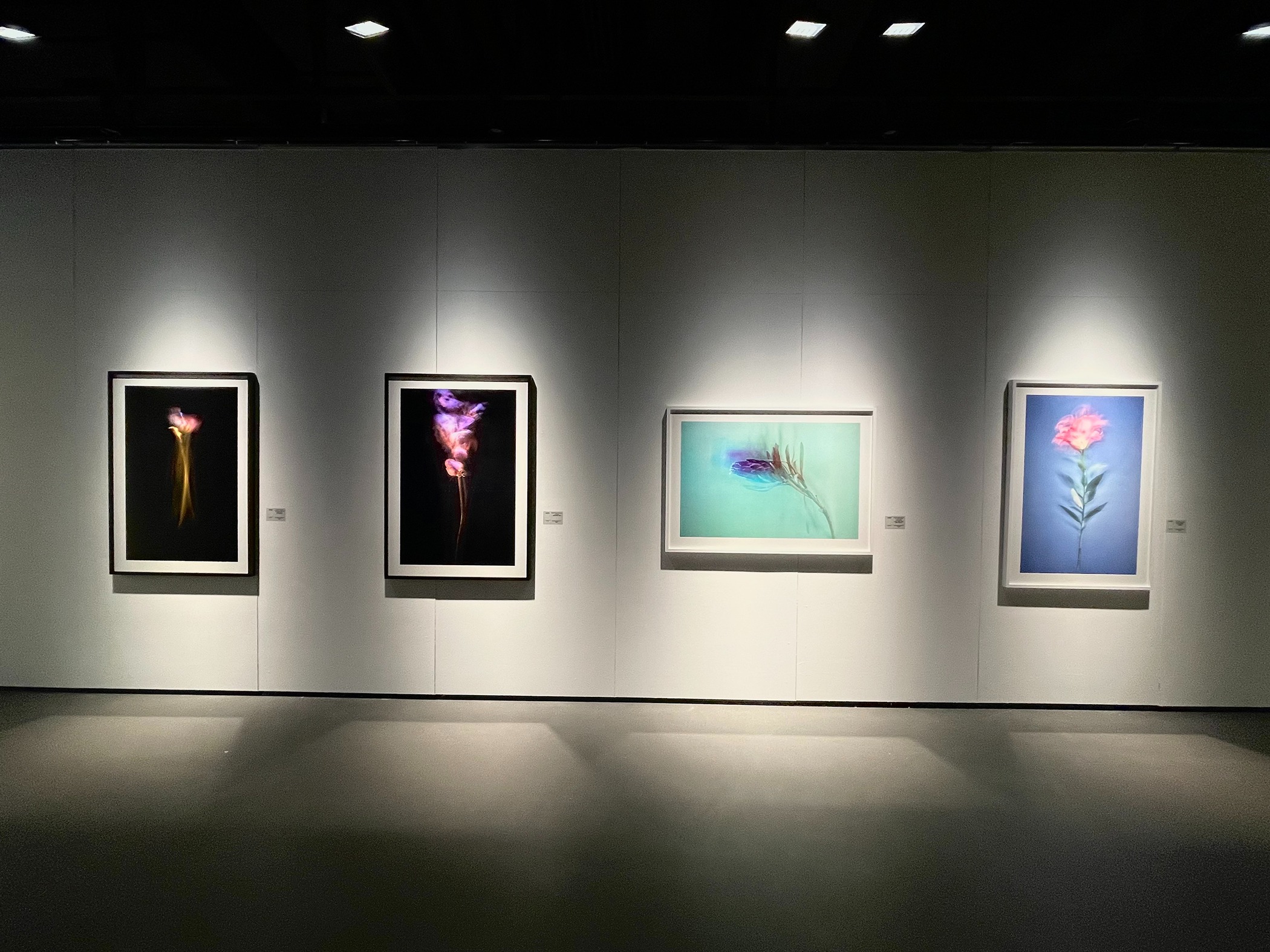 전시전경 · Exhibition view · (이미지 출처 = 신세계갤러리) · (Source = Shinsegae Gallery)