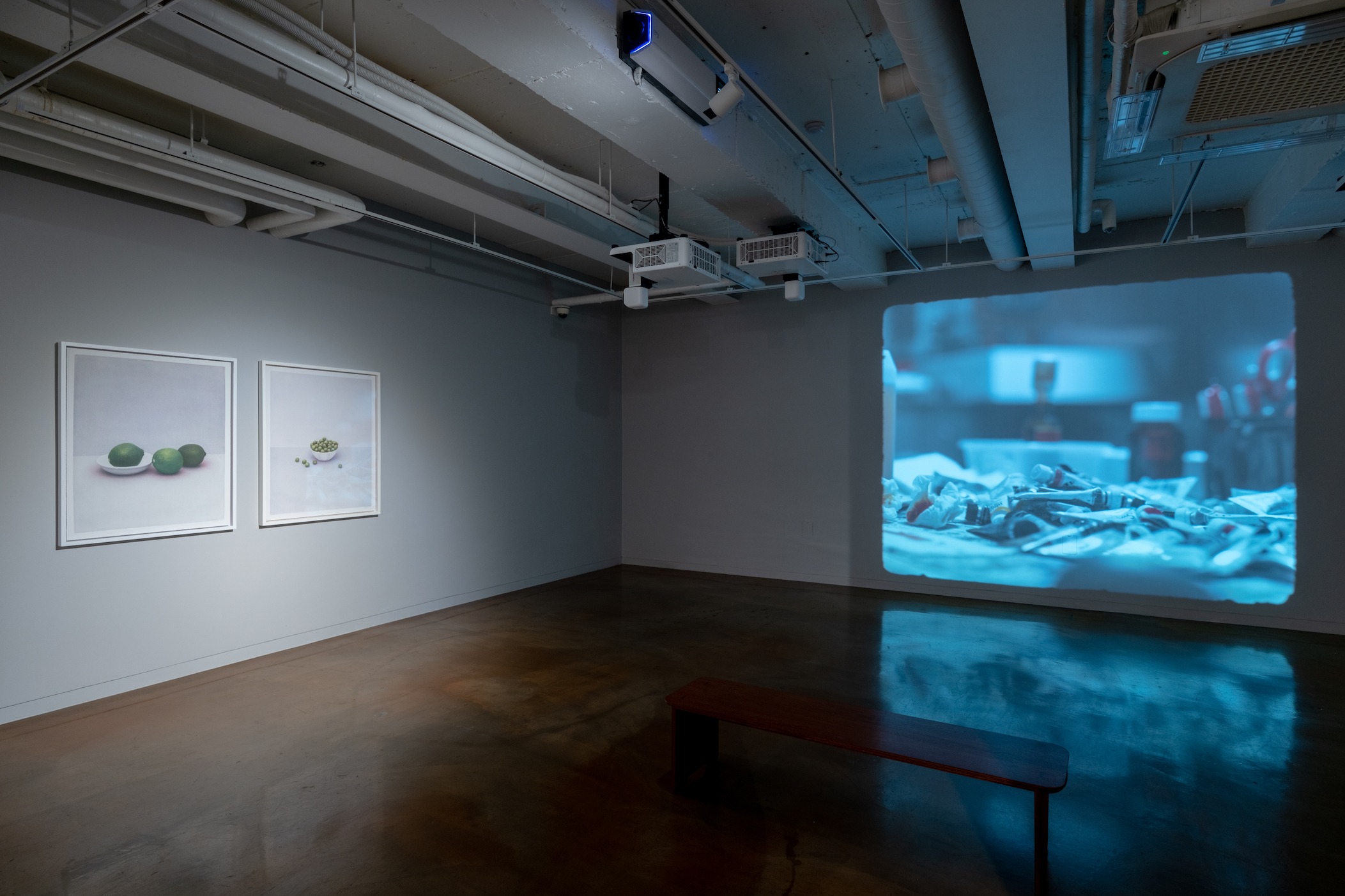 전시전경 · Exhibition view · (제공=후지필름)