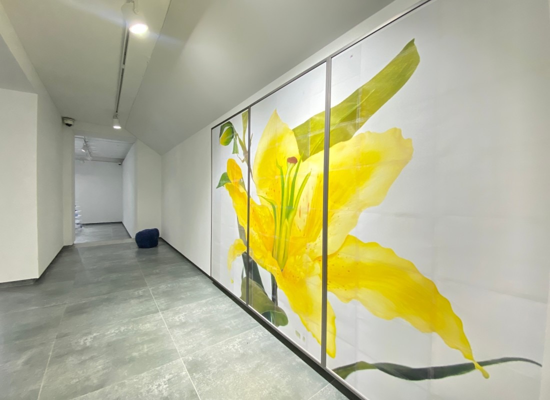 전시전경 · Exhibition view · (이미지 출처 = 화인페이퍼갤러리) · (Source = finepapergallery)