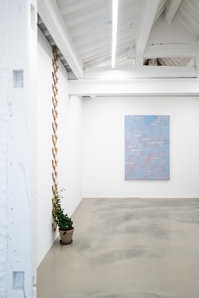 전시전경 · Exhibition view · (이미지출처 = 갤러리신라) · (Source = galleryshilla)