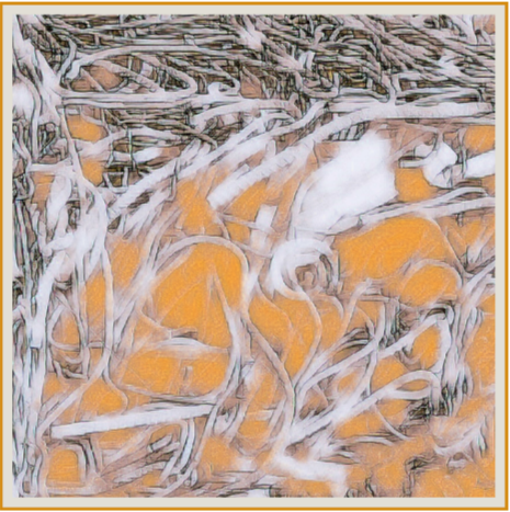 윤을요 · Yun Eulyo · (이미지 출처 = 중랑아트센터) · (Source = JUNGNANG ART CENTER)