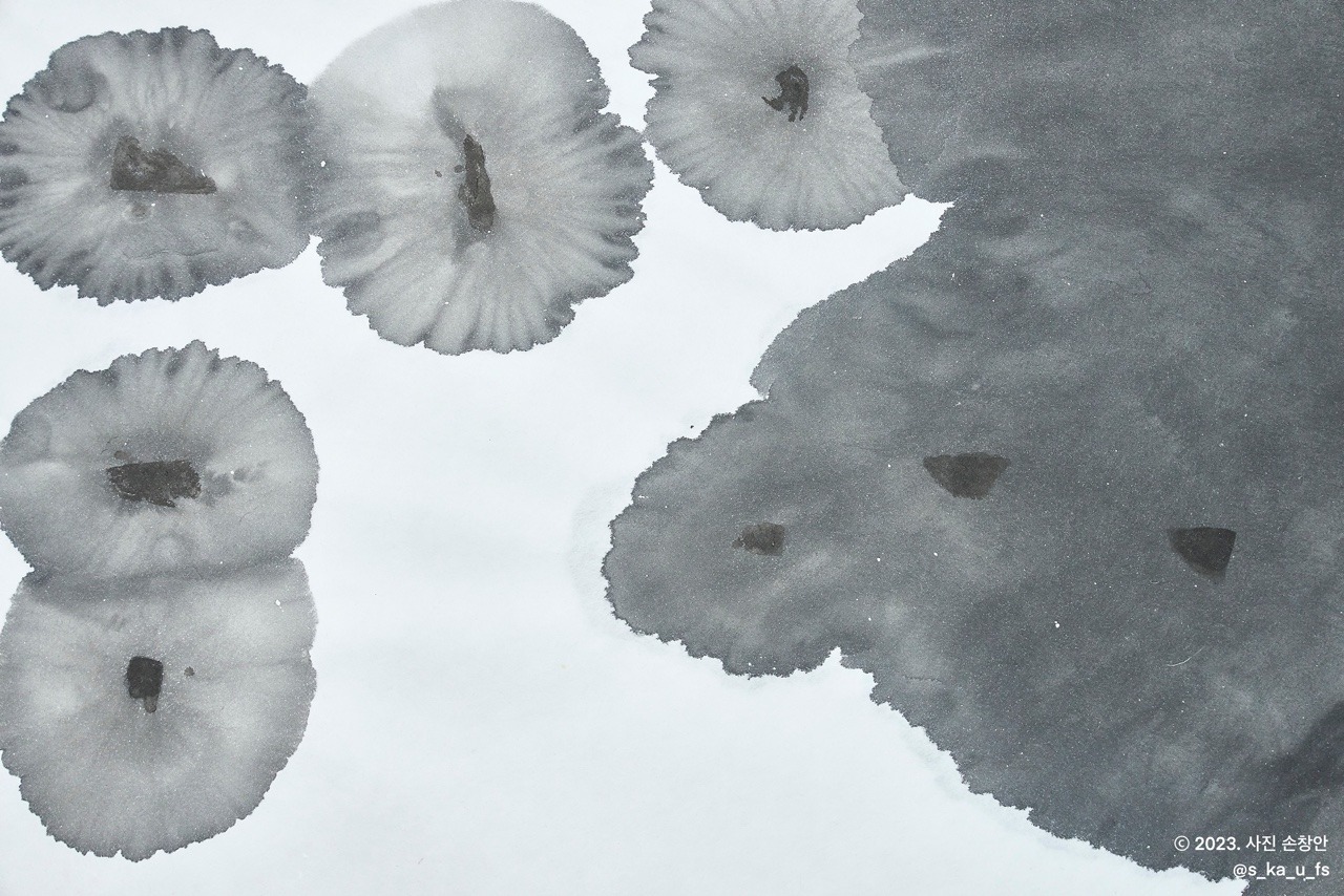 전시전경 · Exhibition view · Snow on 비치 #48305 부분 한지에 먹물 얼음 2023 (이미지 제공 = 아트 시냅스) · (Source = Art Synapse)