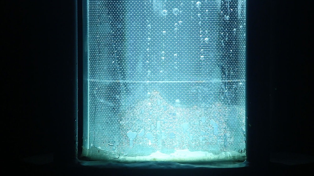 the bone · FHD, 컬러, 6'27'’ · 2017 · the bone · 박윤지 · Park Yunji · (이미지 제공 = 마테리오 갤러리) · (Source = materiaux gallery)