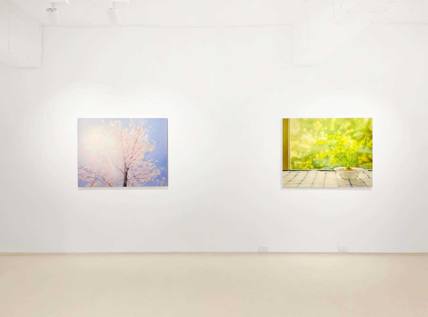 전시전경 · Exhibition view · (이미지 출처 = 본화랑) · (Source = bongallery)