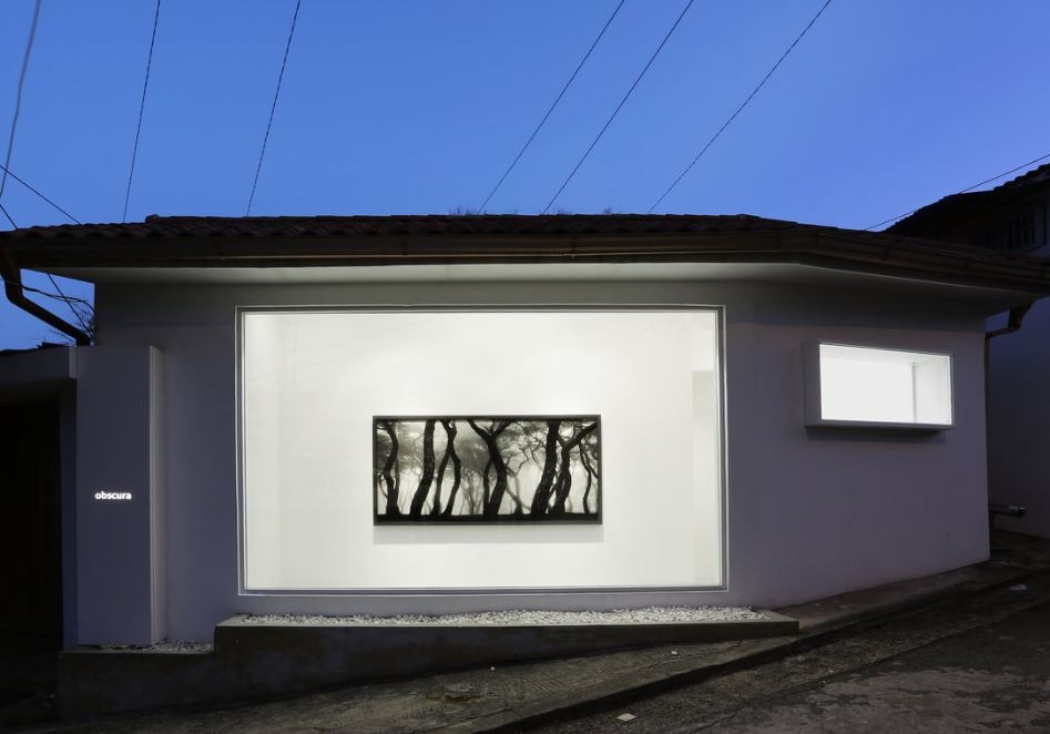 전시전경 · Exhibition view · (이미지 출처 = 옵스큐라) · (source = Obscura)