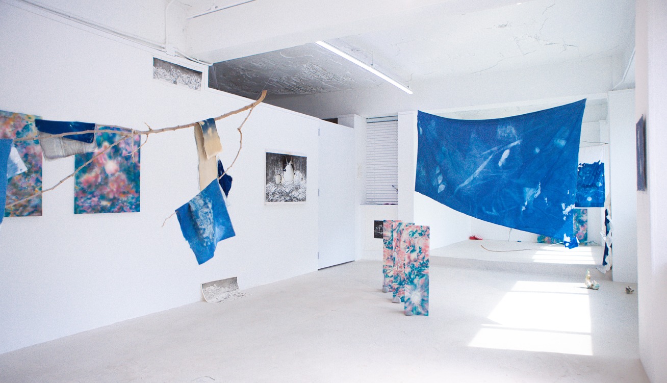 전시전경 · Exhibition view · (이미지 출처 = 작가 제공) · (Source = Kang Sol)