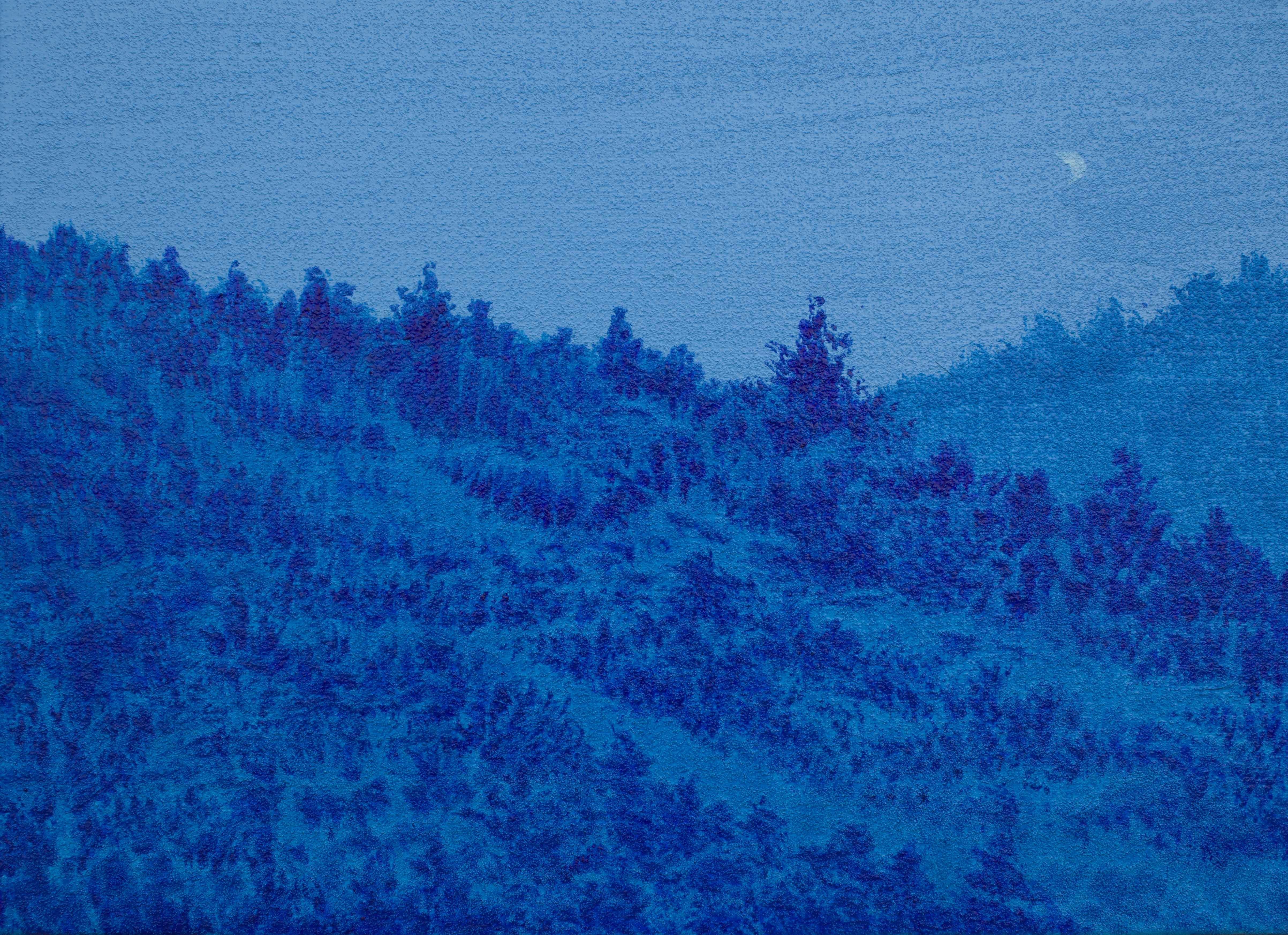 (이미지 출처 = 더숲갤러리) · (Source = deosup Gallery)
