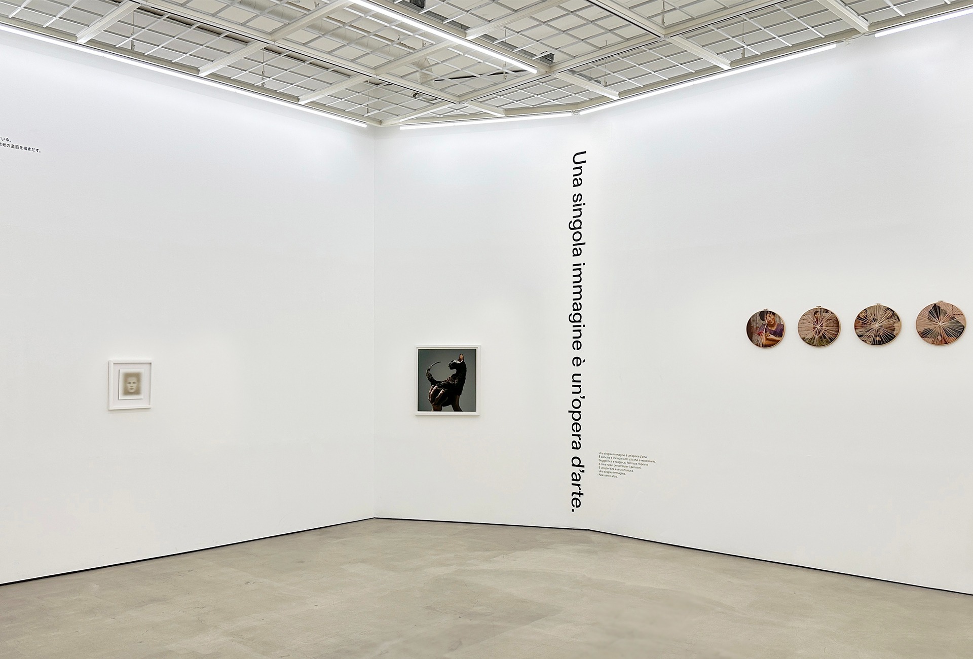 전시전경 · Exhibition view · (이미지 제공 = 더 레퍼런스) · (Source = The  Reference)